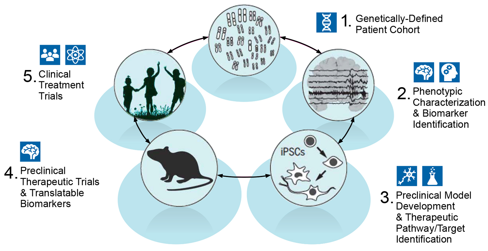 rsz discovery cycle